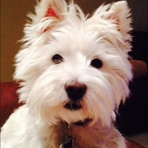 Meet your Posher, Carolyn